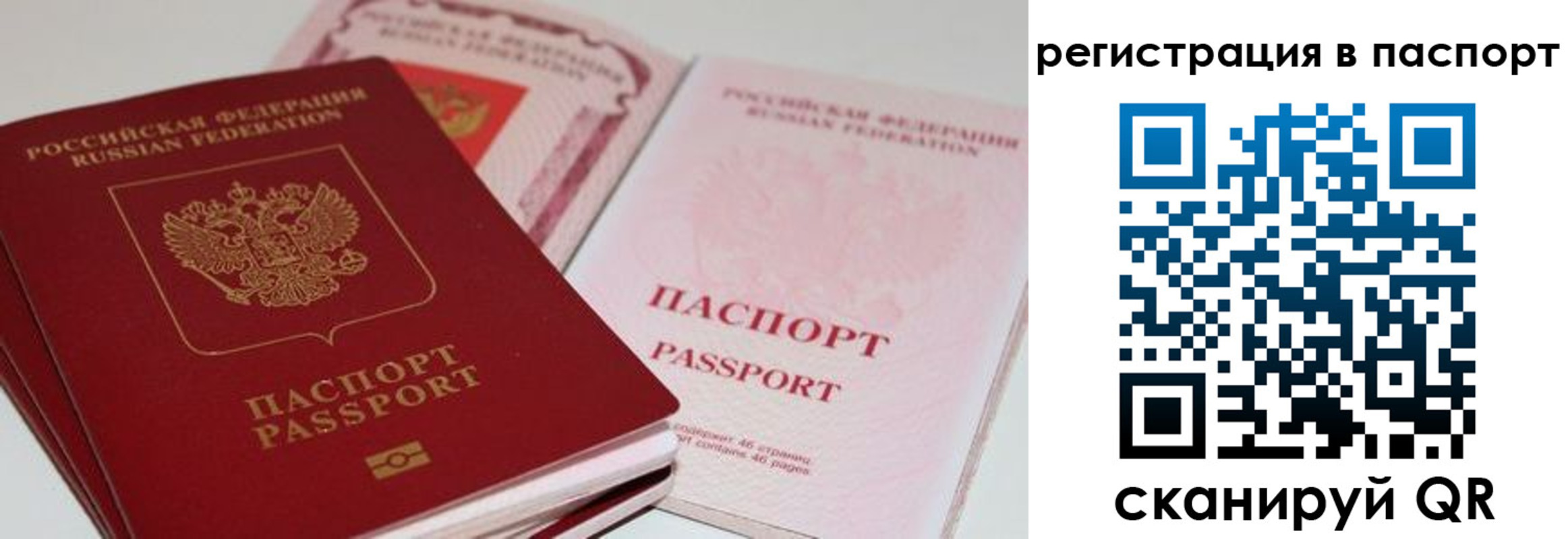 найти адрес прописки в Россоши